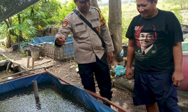 Pemanfaatan-Lahan-Kosong-Jadi-Kolam-Lele,-Dukungan-Polresta-Sidoarjo-untuk-Swasembada-Pangan